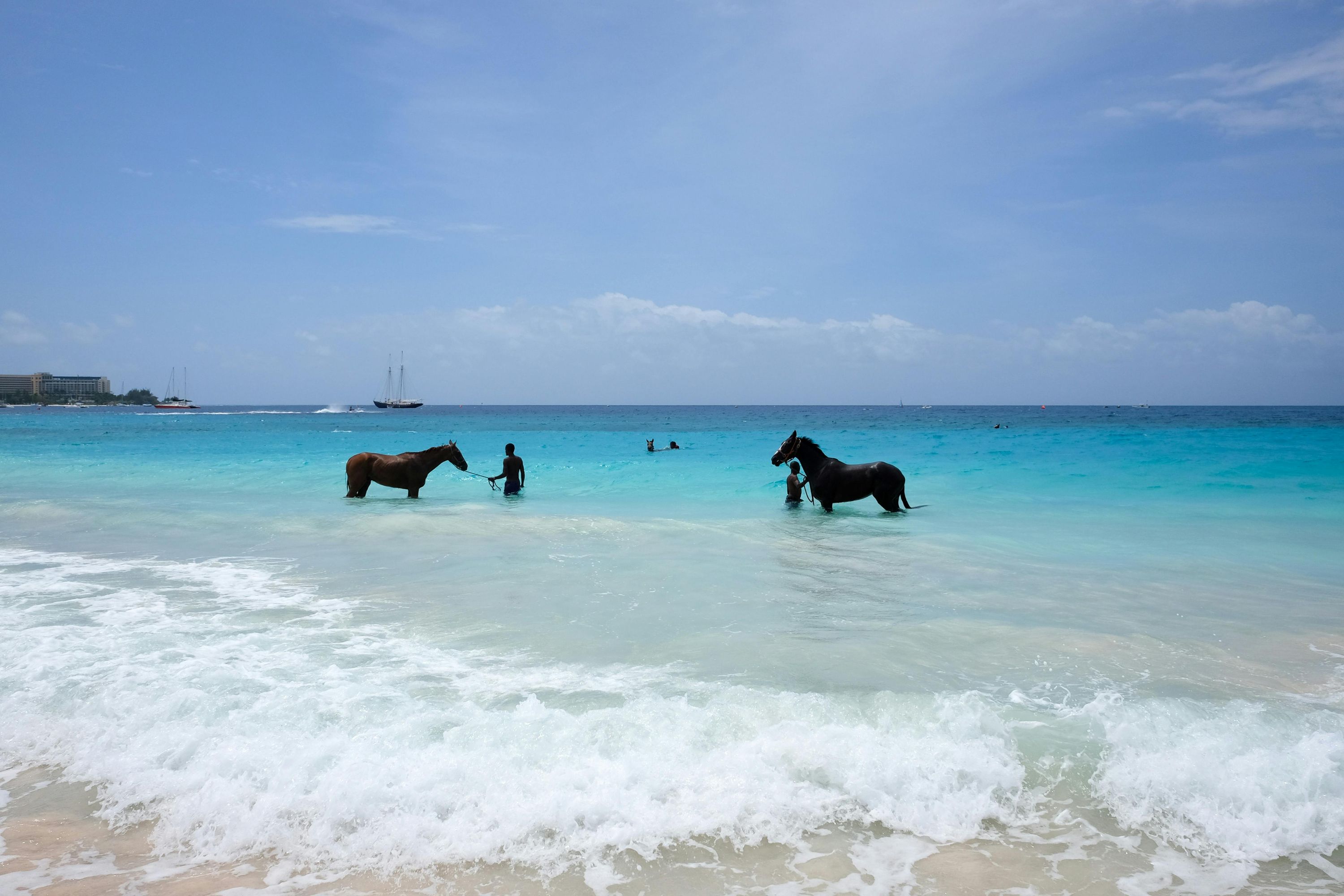 Scenic travel destination in Barbados for visa applicants