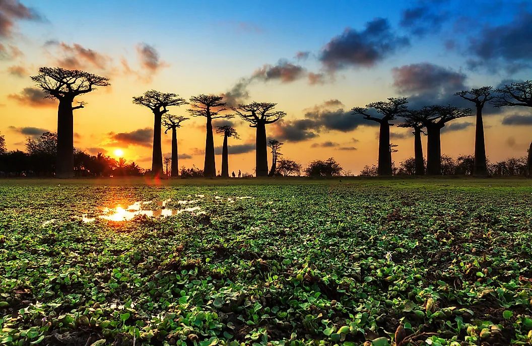 Scenic travel destination in Madagascar for visa applicants