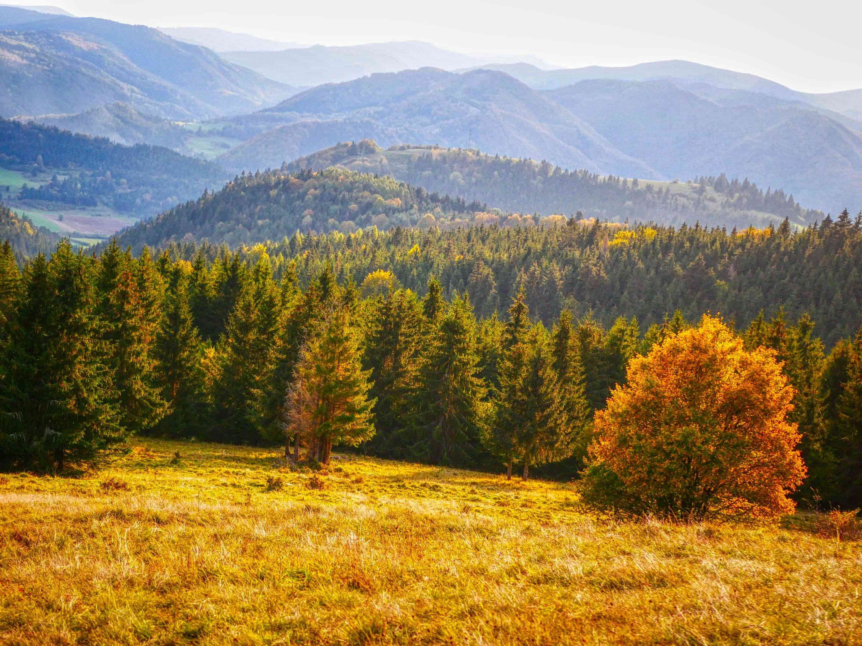Scenic travel destination in Slovakia for visa applicants
