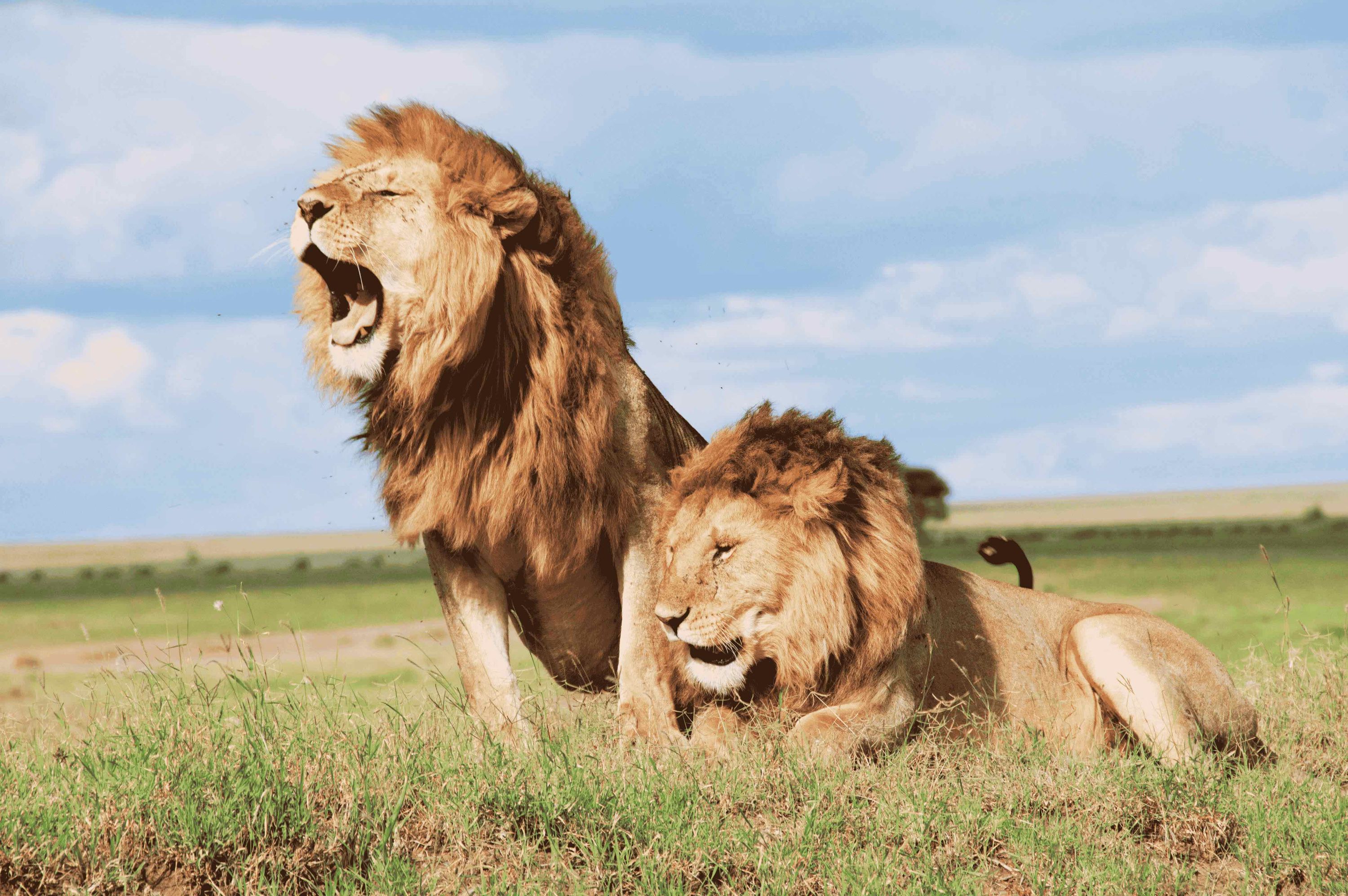 Scenic travel destination in Tanzania for visa applicants